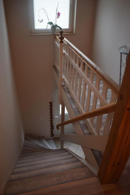 Apartment Mit Garten, Zentral Und Trotzdem Ruhig Cottbus