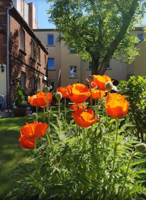 Apartment Mit Garten, Zentral Und Trotzdem Ruhig Cottbus